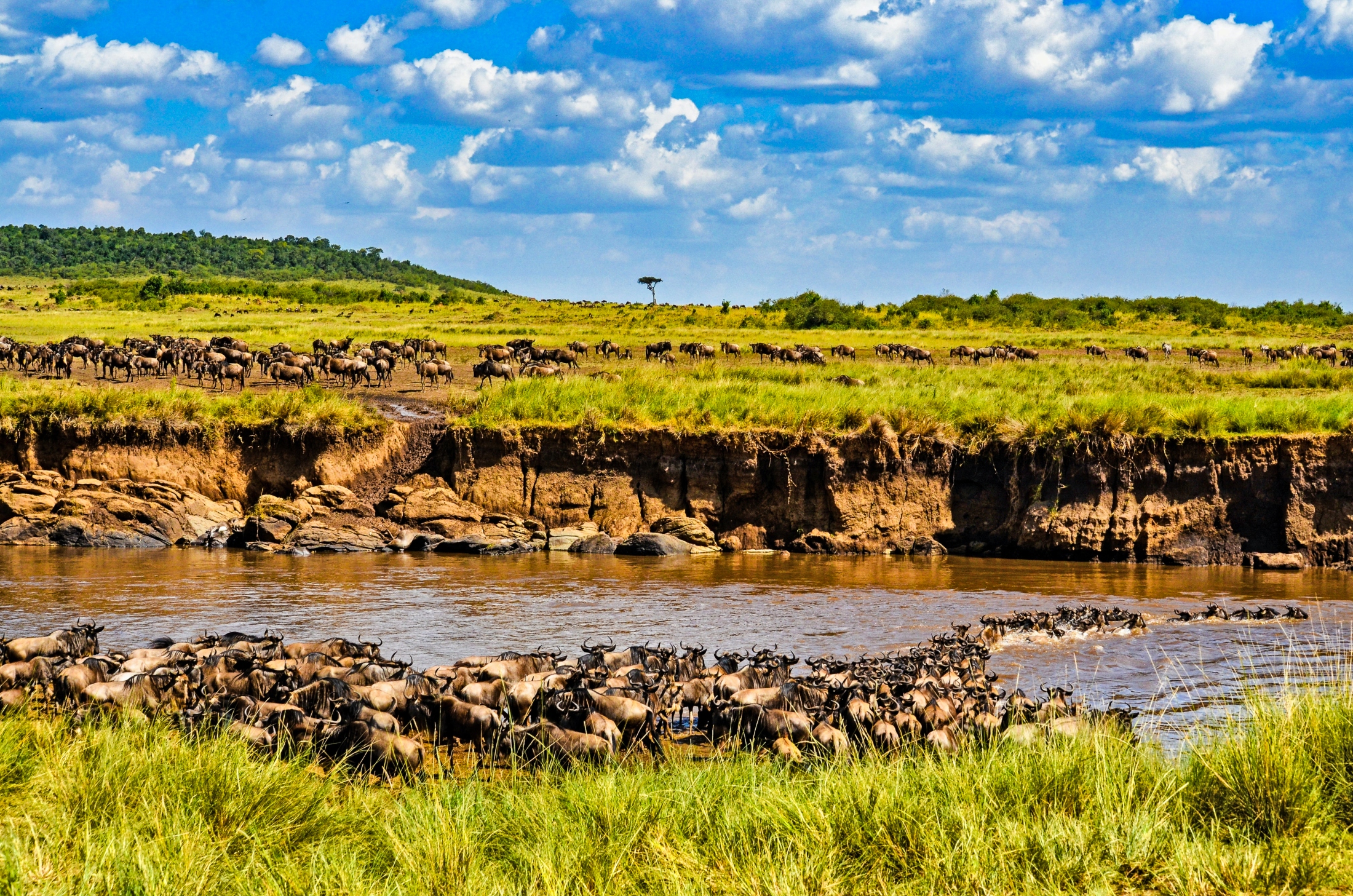 Lake Naivasha to Masai Mara