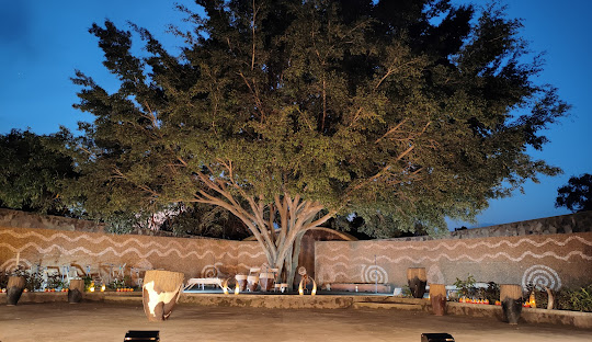 Top 15 Experiences to Enjoy in Kampala and Entebbe Before Your Safari Adventure...