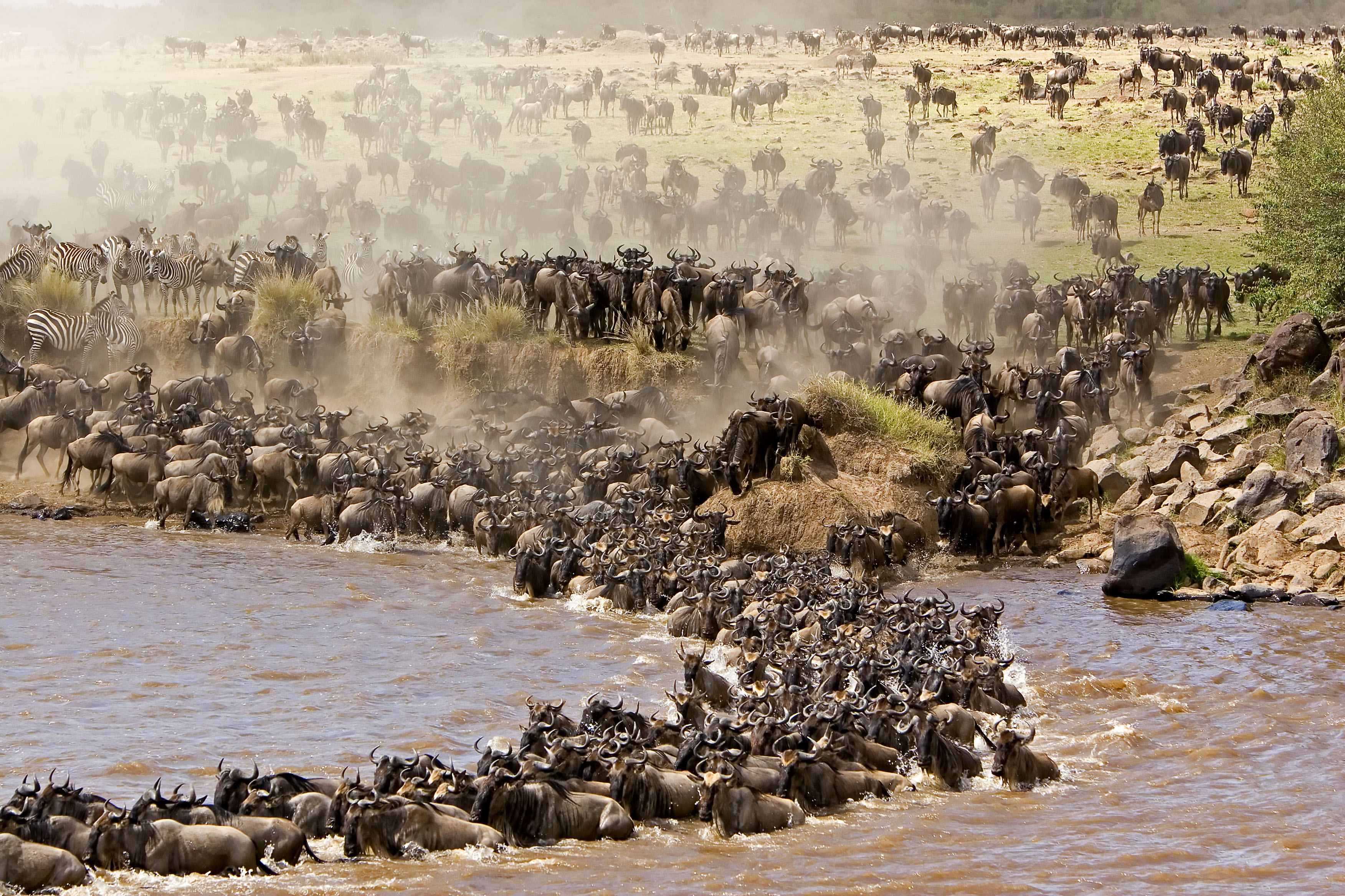 The Mara River & Serengeti, Following the Great Migration in Kenya and Tanzania...