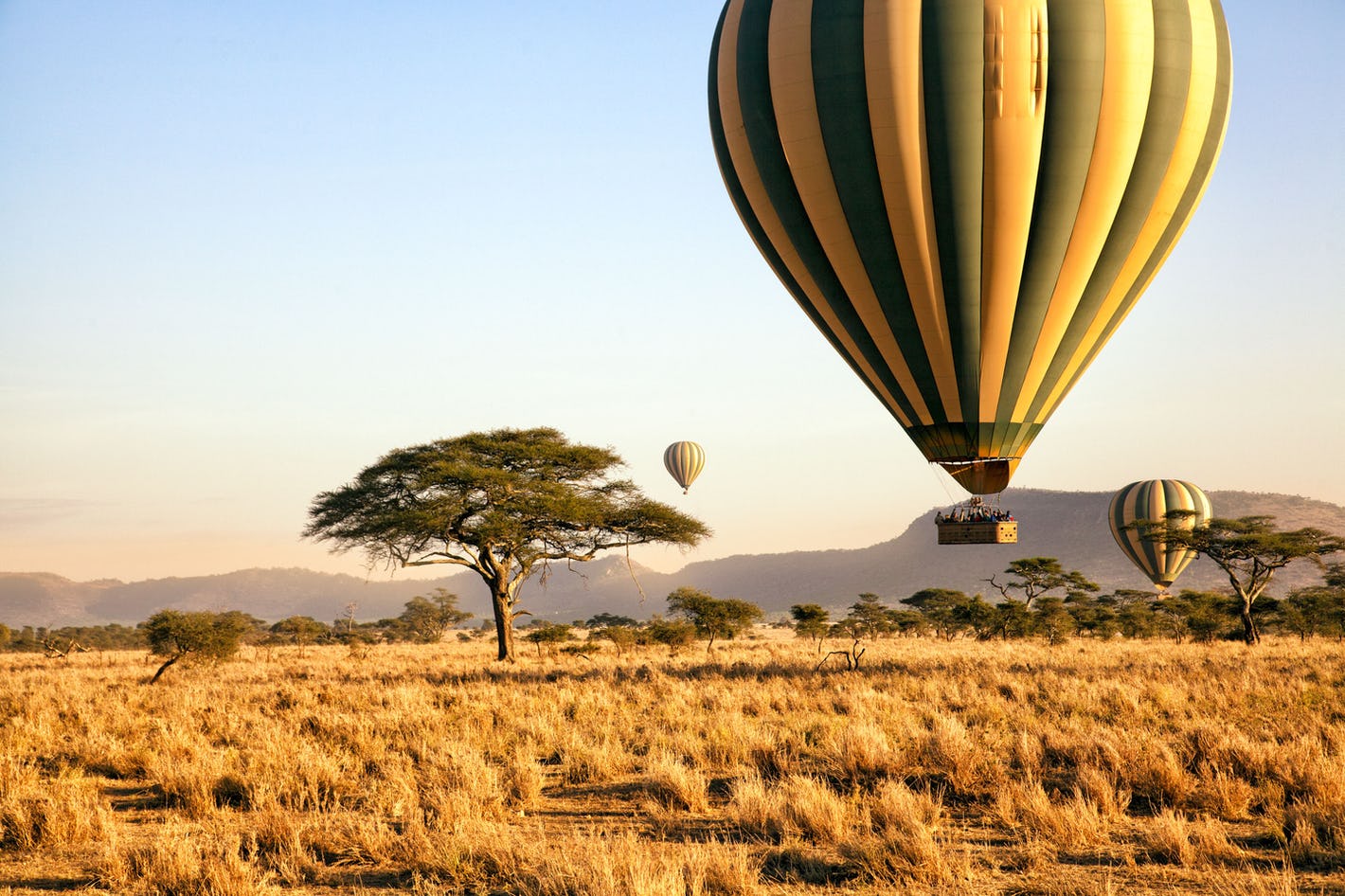 Hot Air Balloon Safari Experience in Masai Mara & Serengeti – A Once-in-a-Lifetime Adventure Over East Africa’s Wild Plains..