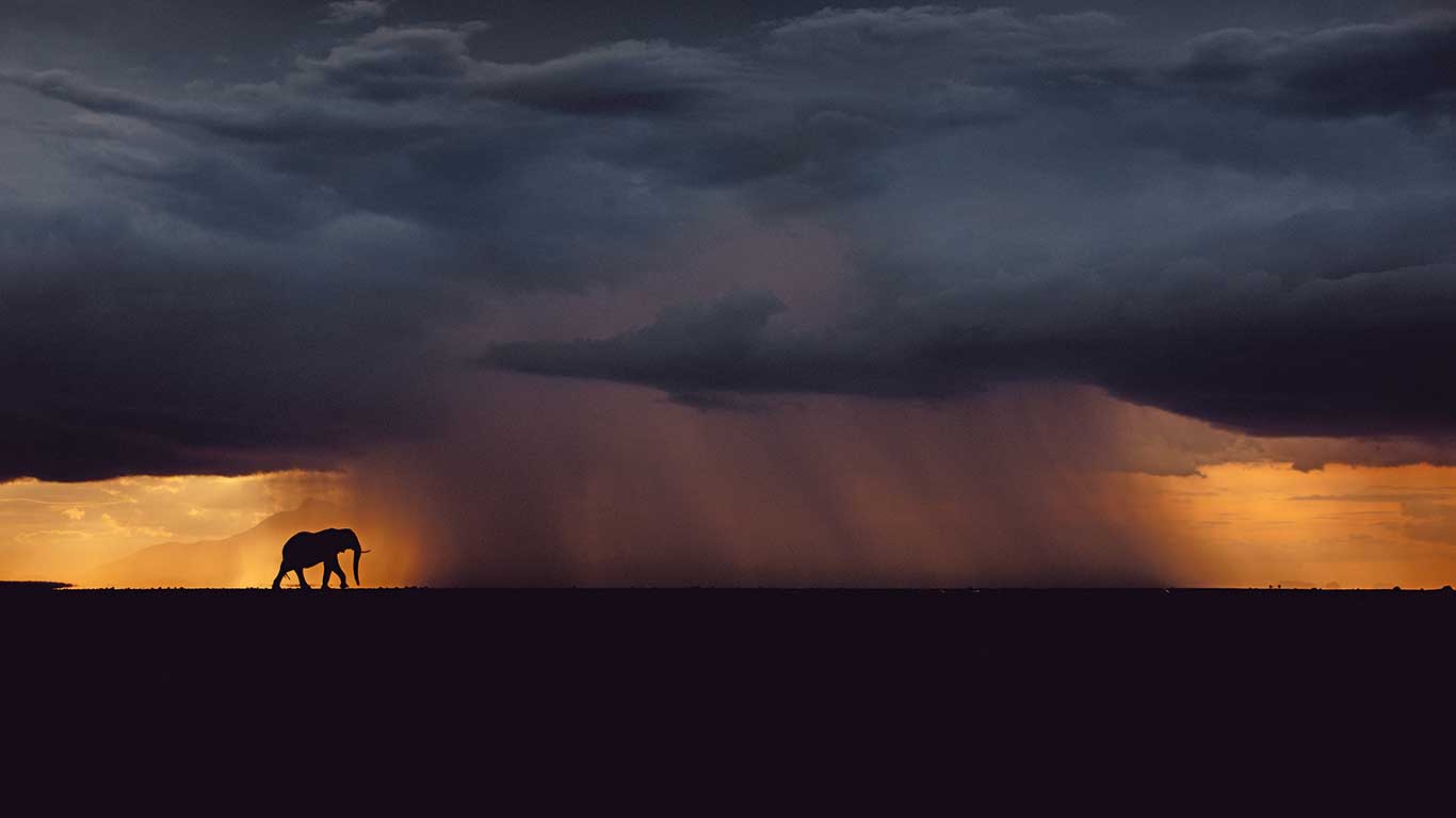 Travel Industry Update: Soroi Lodges Partners with TIO Tours & Travel on “Pay 3 & Stay 4” Offer....!