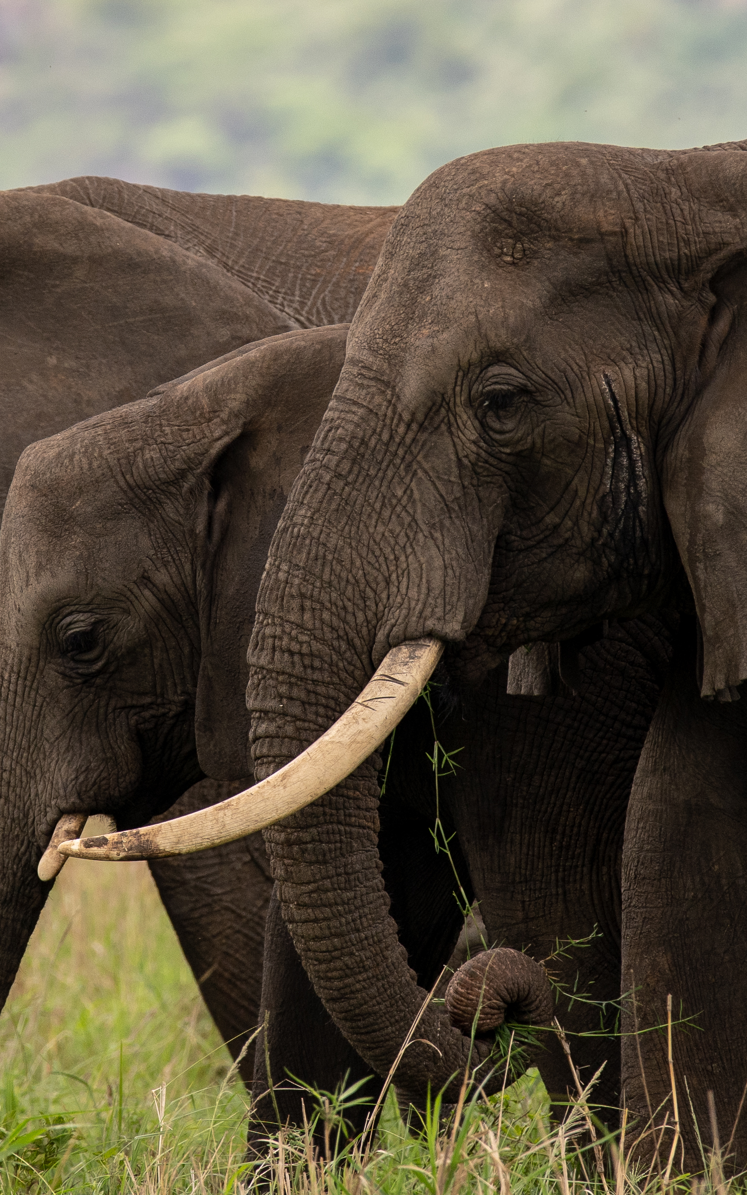 TRANSFER TO KIDEPO VALLEY NATIONAL PARK