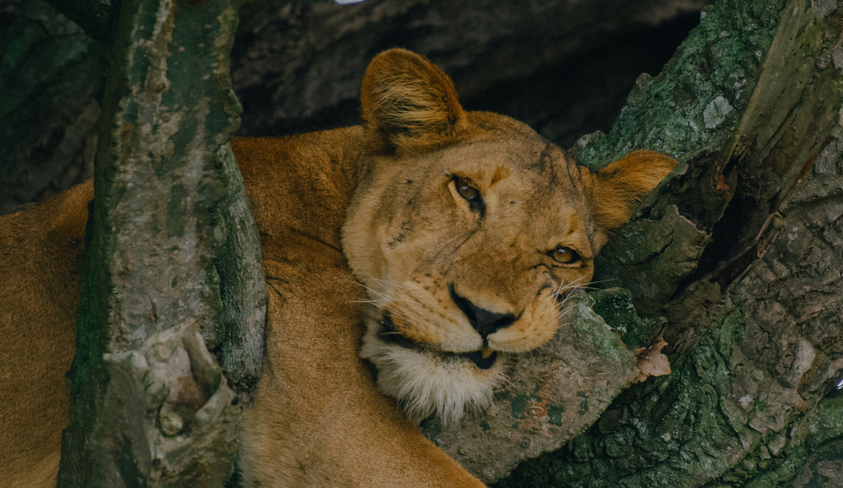 GAME DRIVE AND BOAT RIDE