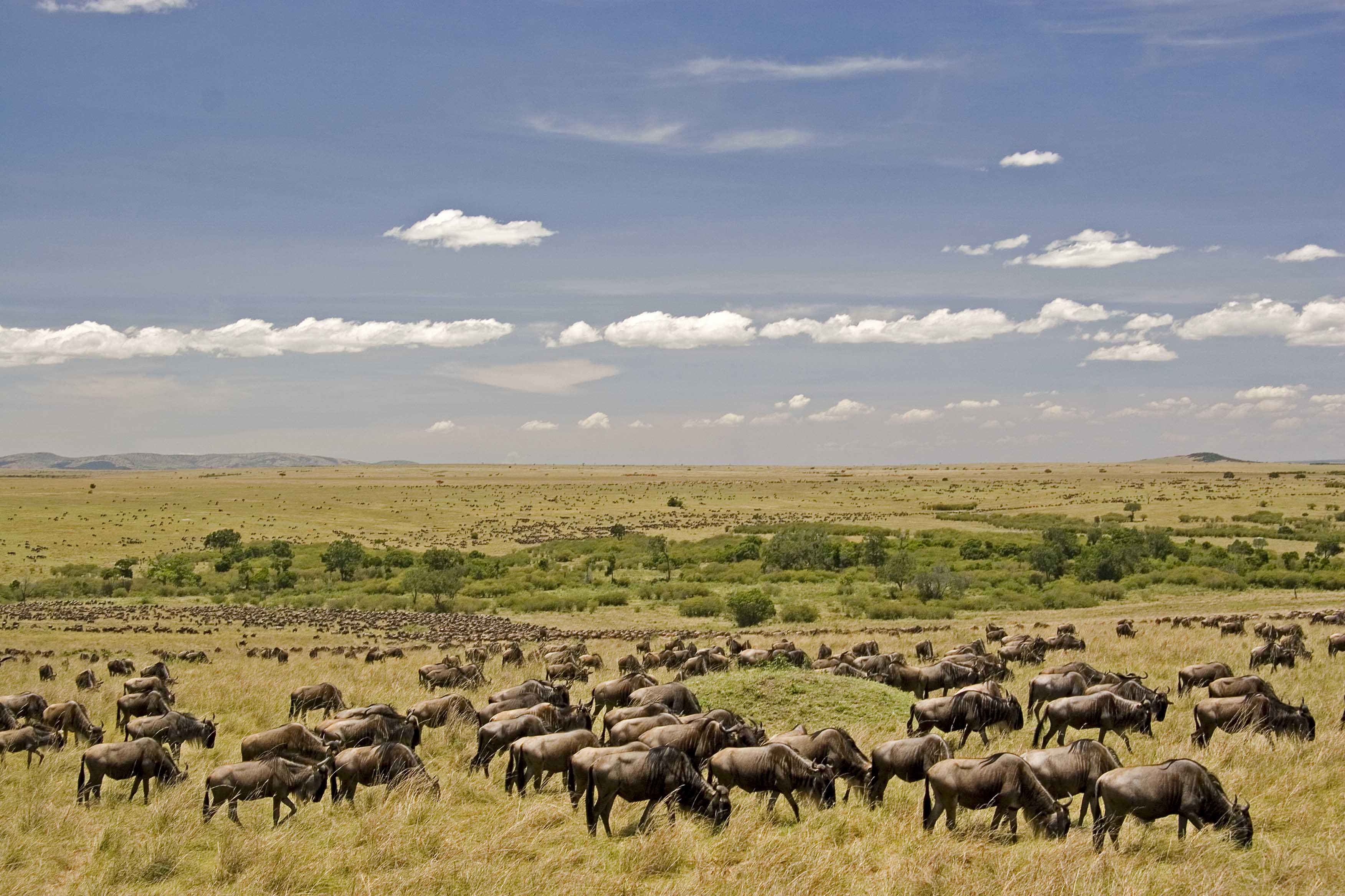 Arrival in Arusha.