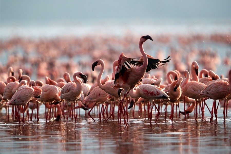 Discover Uganda’s Emerald Season: Why the Rainy Months Are a Hidden Gem for Travelers.
