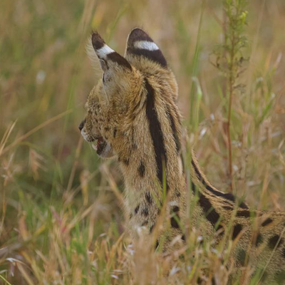 A Different Way of Seeing...!!